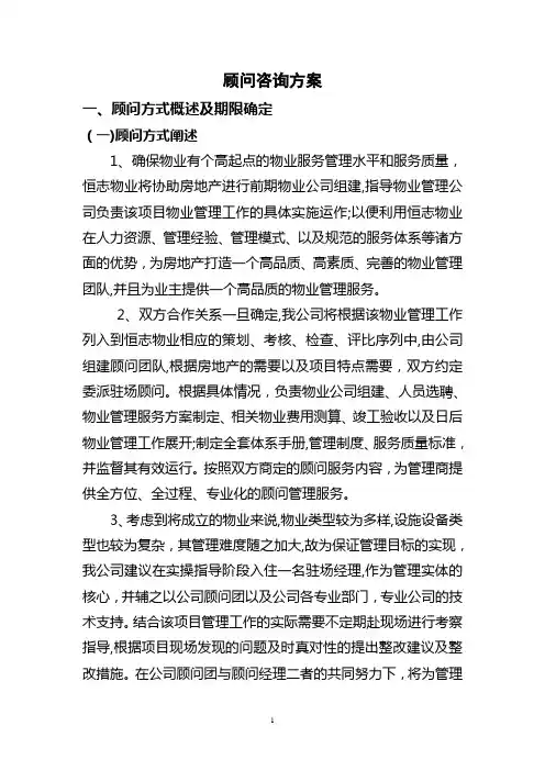 顾问咨询方案