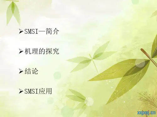 金属载体强相互作用