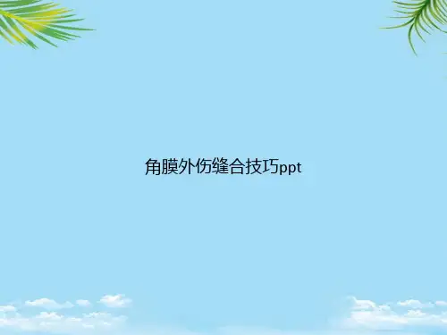[全面版]角膜外伤缝合技巧pptppt资料