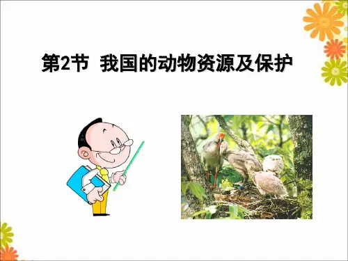 北师大版八年级生物上第五单元17章第2节我国的动物资源及保护教学课件 (共37张PPT)