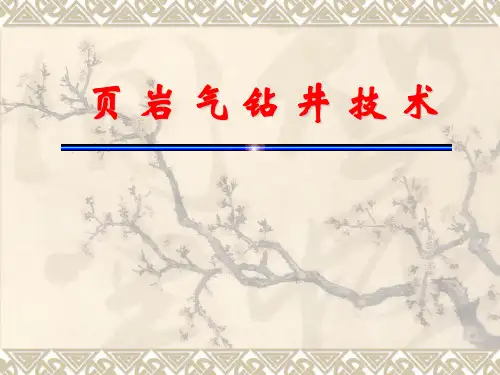 页岩气钻井技术