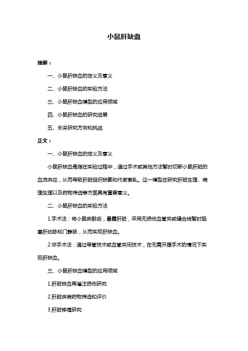 小鼠肝缺血