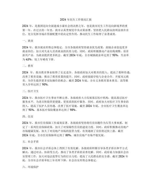 2024年民生工作情况汇报