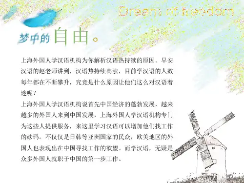 上海外国人学汉语机构解析汉语热持续的原因ppt课件