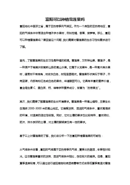 富阳可以种植雪莲果吗