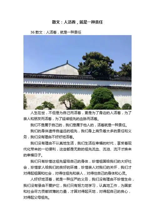 散文：人活着，就是一种责任