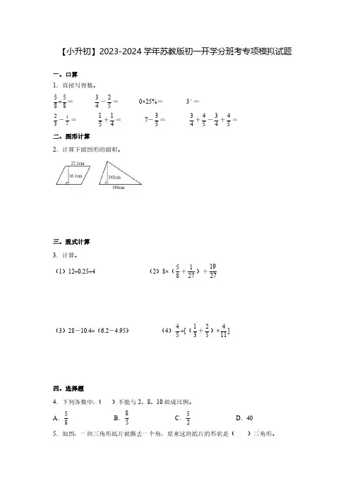 【小升初】2023-2024学年苏教版初一开学分班考专项模拟试题2套(含解析)