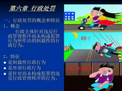 行政法学之行政处罚(PPT 49页)
