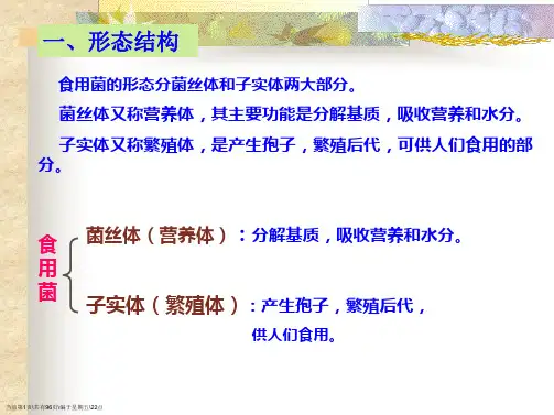 第二章食用菌的生物学特性