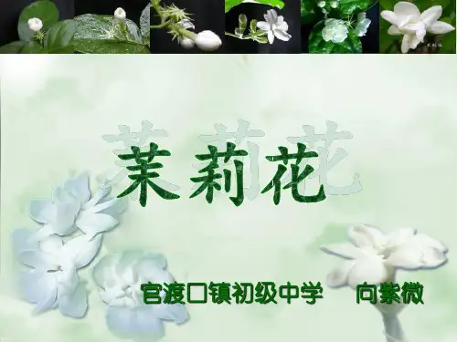 苏少版(简谱)七年级上册音乐《茉莉花(二)》(一等奖课件)