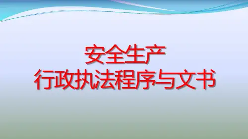 2020版安全生产执法程序与文书