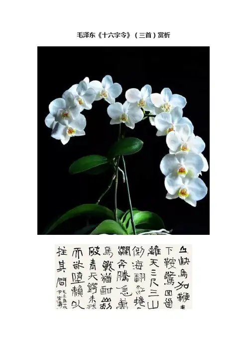 毛泽东《十六字令》（三首）赏析