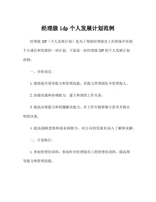 经理级idp个人发展计划范例
