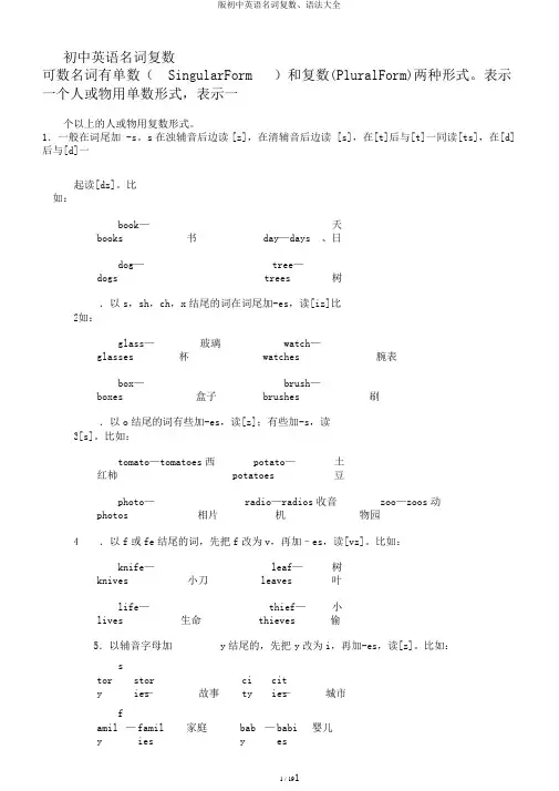 版初中英语名词复数、语法大全