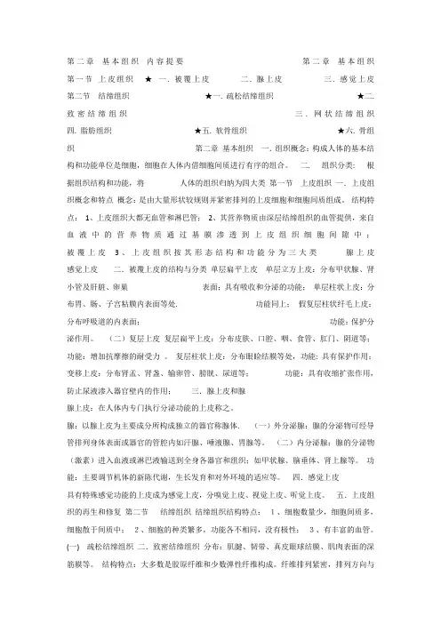 人体解剖学课件_2基本组织_
