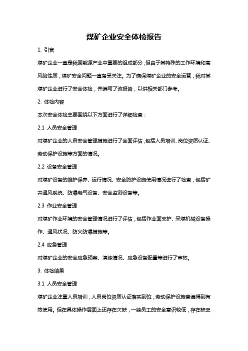 煤矿企业安全体检报告