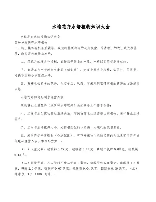 水培花卉水培植物知识大全