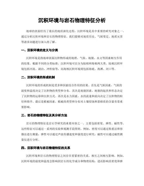沉积环境与岩石物理特征分析