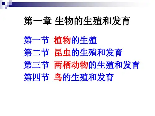 第一章 生物的生殖和发育  PPT课件