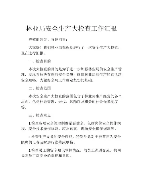 林业局安全生产大检查工作汇报