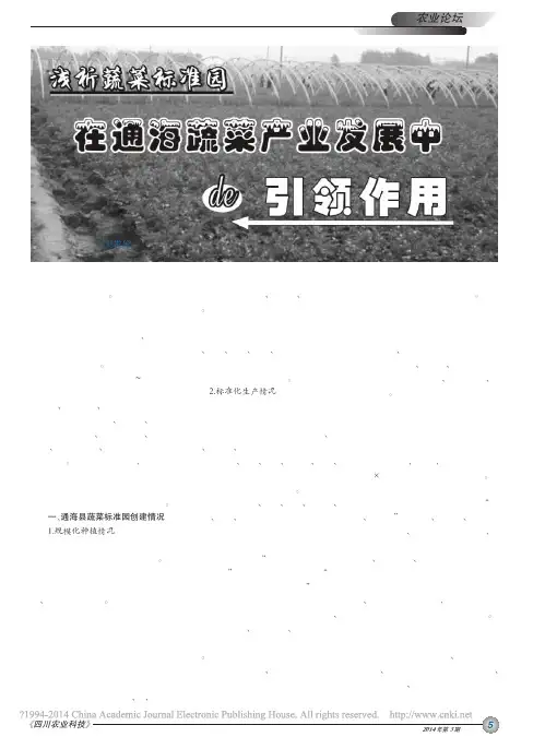 浅析蔬菜标准园在通海蔬菜产业发展中的引领作用