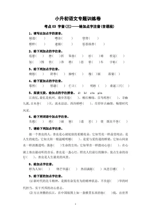 考点03 字音(三)：给加点字注音(含语段)-2024年小升初语文专题训练(统编版)