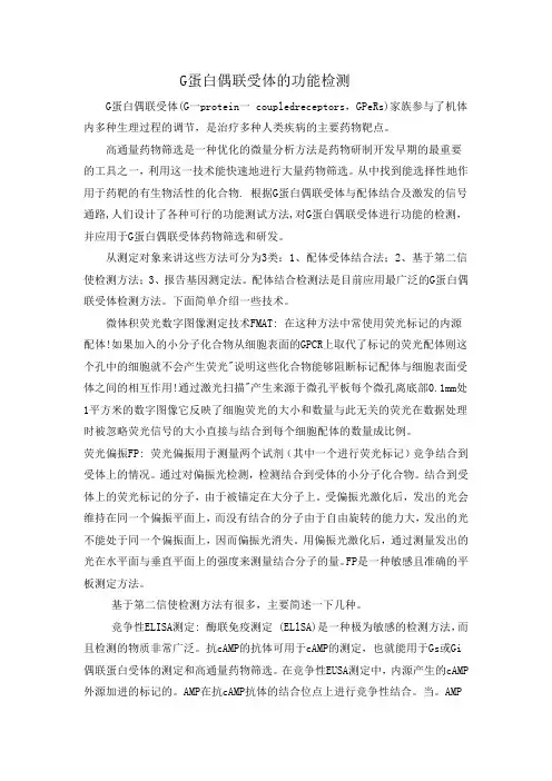 G蛋白偶联受体功能的检测