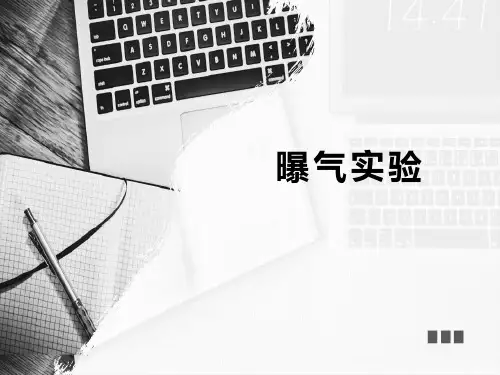 曝气实验精选全文完整版