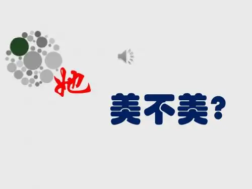 第6课漂亮是否美术鉴赏的唯一标准