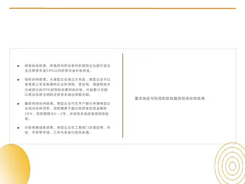 创办微型企业的扶持方案