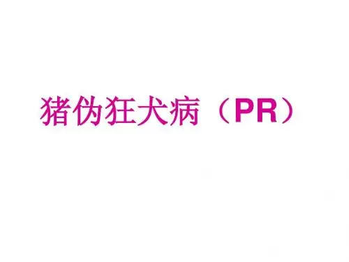 猪伪狂犬病(PR)