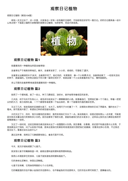 观察日记植物
