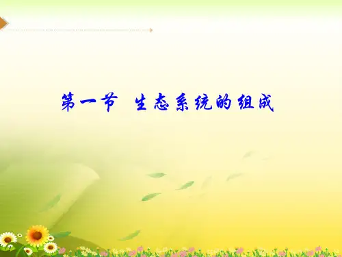《生态系统的组成》PPT课件
