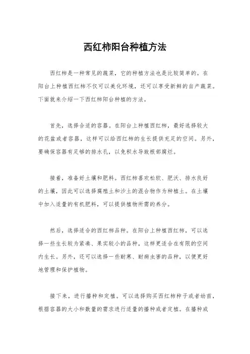 西红柿阳台种植方法