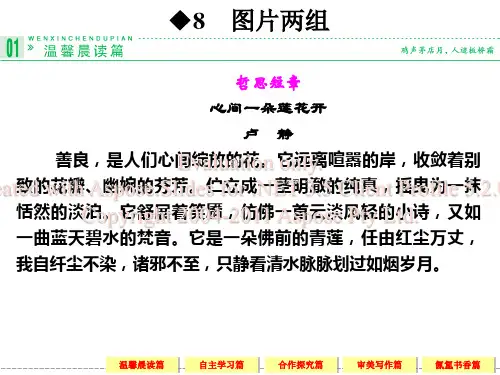 高一语文苏教必修二配套课件图片两组