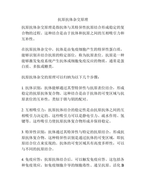 抗原抗体杂交原理