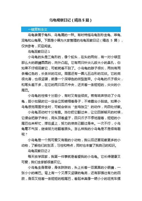乌龟观察日记（精选5篇）