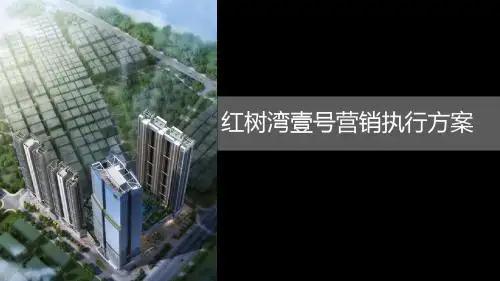深圳绿景红树湾壹号营销策略执行