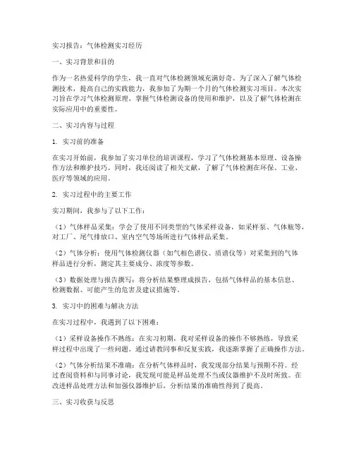 气体检测实习报告