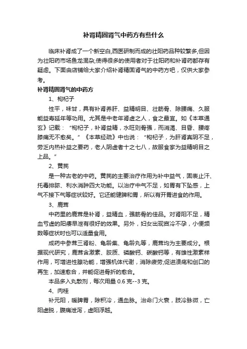 补肾精固肾气中药方有些什么