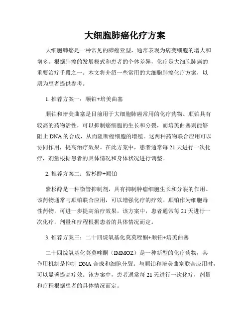 大细胞肺癌化疗方案