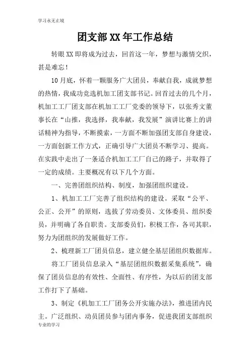 团支部XX年工作检查及评价分析研究性工作总结_1