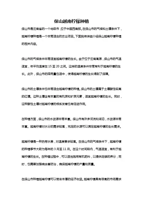 保山越南柠檬种植