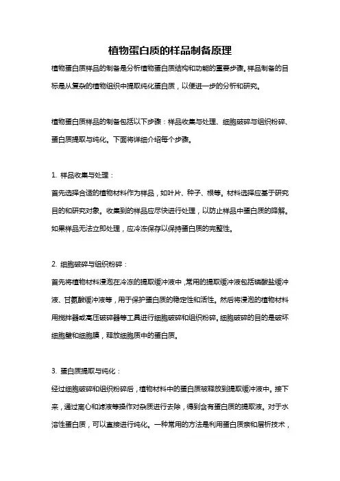 植物蛋白质的样品制备原理