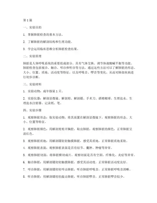 肺脏检查的实验报告(3篇)