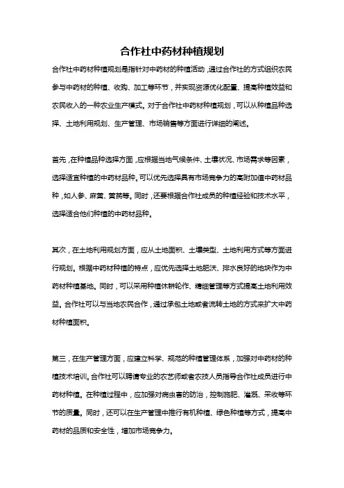合作社中药材种植规划