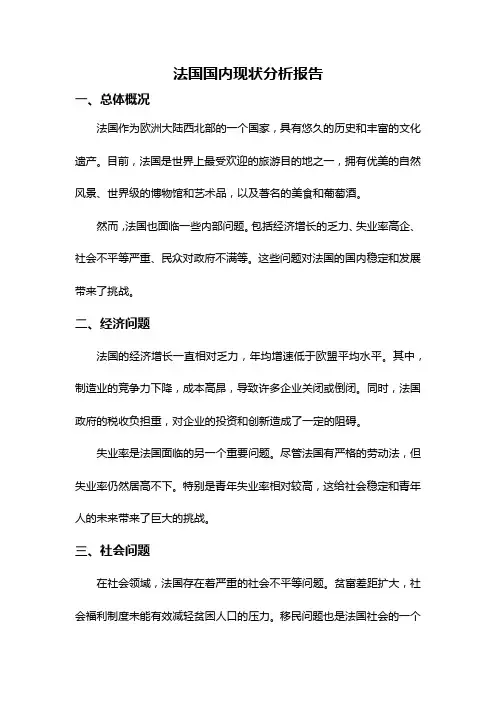 法国国内现状分析报告