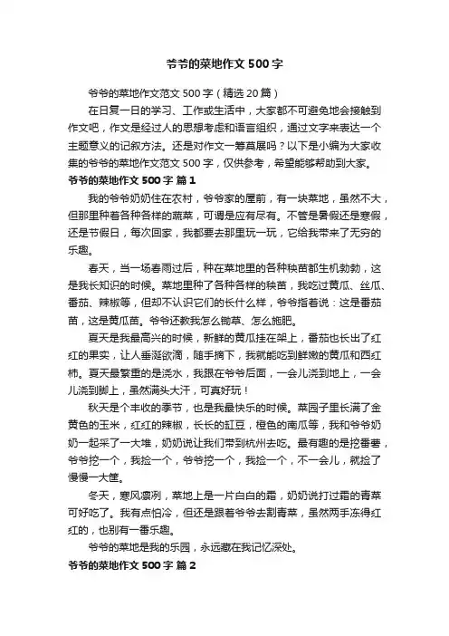 爷爷的菜地作文范文500字（精选20篇）