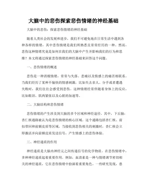 大脑中的悲伤探索悲伤情绪的神经基础