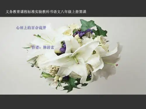 《心田上的百合花》PPT(上课用)5